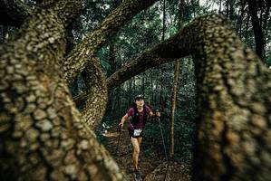 BIB: 
                            <button type="button" onclick="openModal(25671202)" class="btn btn-primary btn-sm float-right btn-popup" data-toggle="modal" data-target=".modal-high-quality">
                        <i class="fas fa-shopping-cart"></i> Add to Cart
                    </button>
                                            <button type="button" onclick="isThisMe(25671202, true)" class="btn btn-success btn-sm float-right btn-popup btn-isme hidden" data-toggle="tooltip" data-placement="bottom" title="นี่คือรูปของคุณใช่ไหม คลิกที่นี่เพื่อเอาเข้าอัลบั้ม">
                        <i class="fas fa-plus"></i> Add to album
                    </button>
                    <button type="button" onclick="isThisMe(25671202, false)" class="btn btn-warning btn-sm float-right btn-popup btn-isnotme hidden">
                        <i class="fas fa-ban"></i> Remove from album
                    </button>